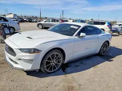1FA6P8TH7K5175668 2019 FORD MUSTANG