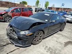 1FA6P8TH7K5181406 2019 FORD MUSTANG