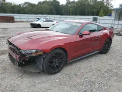 1FA6P8TH7K5182524 2019 FORD MUSTANG
