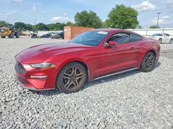 1FA6P8TH7K5185004 2019 FORD MUSTANG