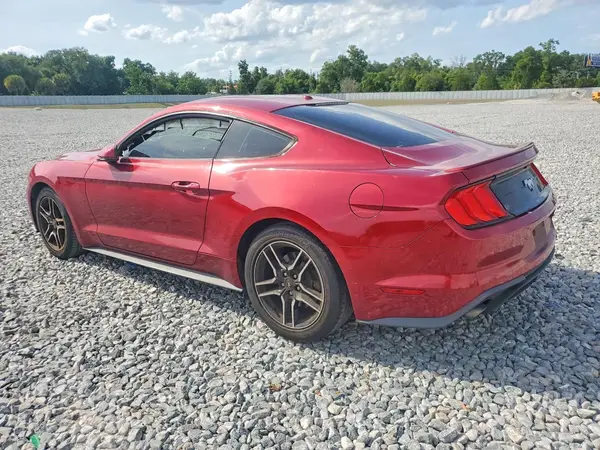 1FA6P8TH7K5185004 2019 FORD MUSTANG - Image 2