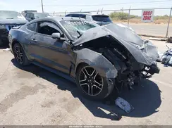 1FA6P8TH7K5185696 2019 FORD MUSTANG