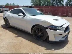 1FA6P8TH7K5186458 2019 FORD MUSTANG