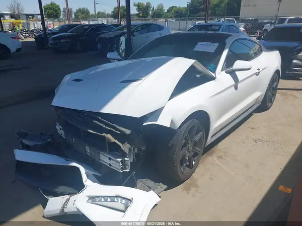 1FA6P8TH7K5188307 2019 FORD MUSTANG - Image 2
