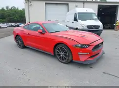 1FA6P8TH7K5188663 2019 FORD MUSTANG