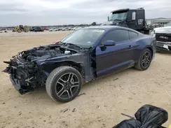 1FA6P8TH7K5189585 2019 FORD MUSTANG