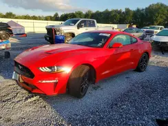 1FA6P8TH7K5189666 2019 FORD MUSTANG