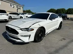 1FA6P8TH7K5193930 2019 FORD MUSTANG