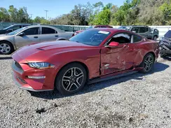 1FA6P8TH7K5194110 2019 FORD MUSTANG