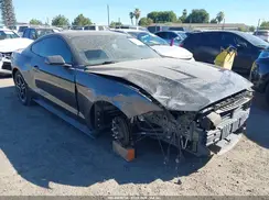 1FA6P8TH7K5194916 2019 FORD MUSTANG