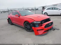 1FA6P8TH7K5197377 2019 FORD MUSTANG