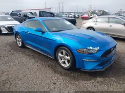 1FA6P8TH7K5199923 2019 FORD MUSTANG