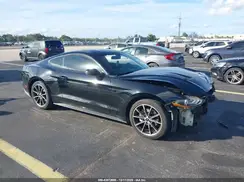 1FA6P8TH7K5201587 2019 FORD MUSTANG