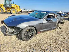 1FA6P8TH7K5202044 2019 FORD MUSTANG