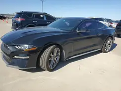 1FA6P8TH7K5205137 2019 FORD MUSTANG