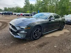 1FA6P8TH7L5103290 2020 FORD MUSTANG