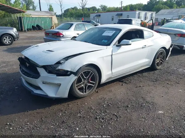 1FA6P8TH7L5118825 2020 FORD MUSTANG - Image 2