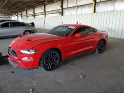1FA6P8TH7L5141991 2020 FORD MUSTANG
