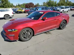 1FA6P8TH7L5191354 2020 FORD MUSTANG