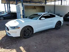 1FA6P8TH7M5102982 2021 FORD MUSTANG