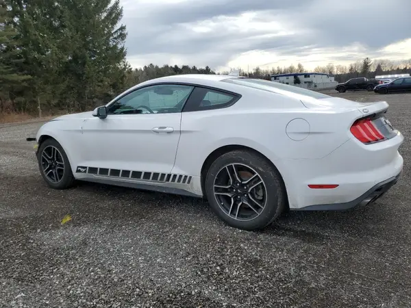 1FA6P8TH7M5116896 2021 FORD MUSTANG - Image 2