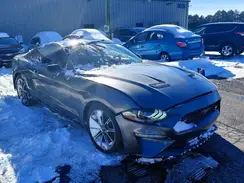 1FA6P8TH7M5127526 2021 FORD MUSTANG
