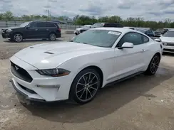 1FA6P8TH7M5141555 2021 FORD MUSTANG