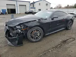 1FA6P8TH7P5100119 2023 FORD MUSTANG