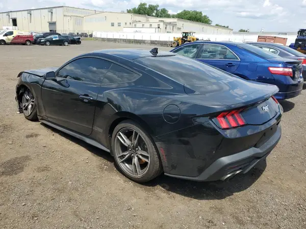 1FA6P8TH7R5105582 2024 FORD MUSTANG - Image 2