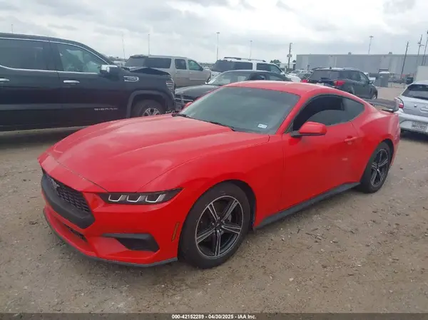 1FA6P8TH7R5106652 2024 FORD MUSTANG - Image 2