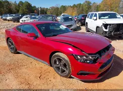 1FA6P8TH7R5110667 2024 FORD MUSTANG