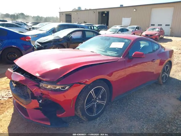 1FA6P8TH7R5110667 2024 FORD MUSTANG - Image 2