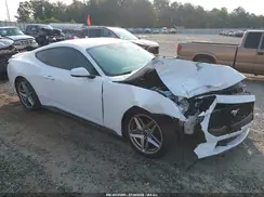 1FA6P8TH7R5111849 2024 FORD MUSTANG
