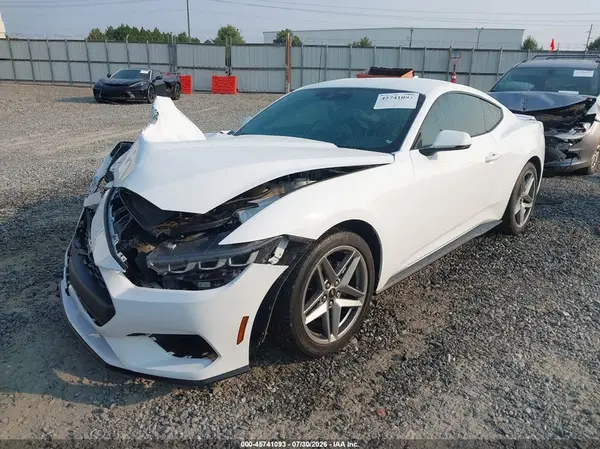 1FA6P8TH7R5111849 2024 FORD MUSTANG - Image 2