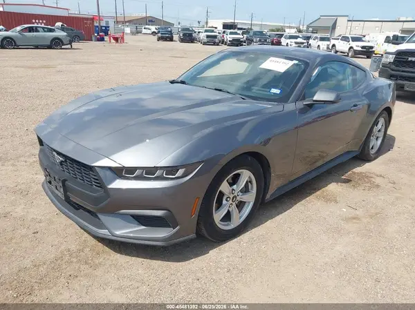1FA6P8TH7R5113259 2024 FORD MUSTANG - Image 2