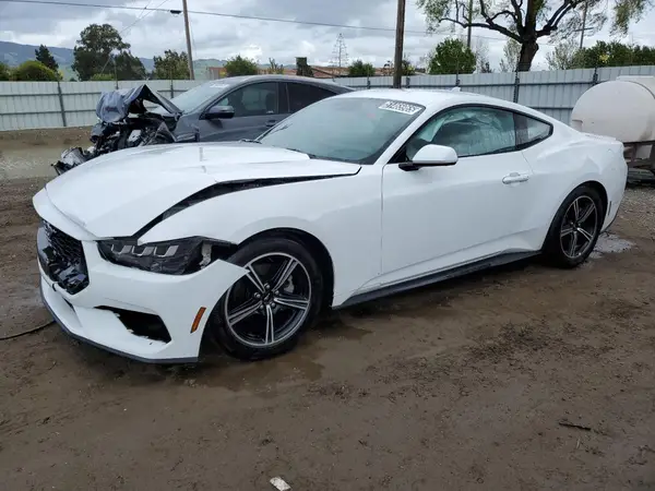 1FA6P8TH7R5117070 2024 FORD MUSTANG - Image 1