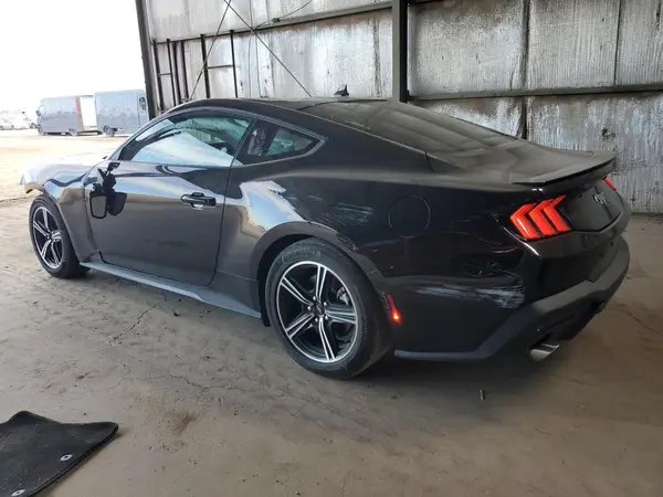 1FA6P8TH7R5117330 2024 FORD MUSTANG - Image 2