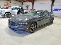 1FA6P8TH7R5118638 2024 FORD MUSTANG