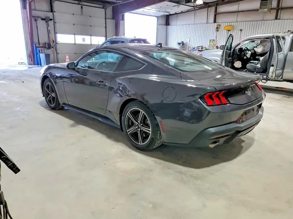 1FA6P8TH7R5118638 2024 FORD MUSTANG - Image 2