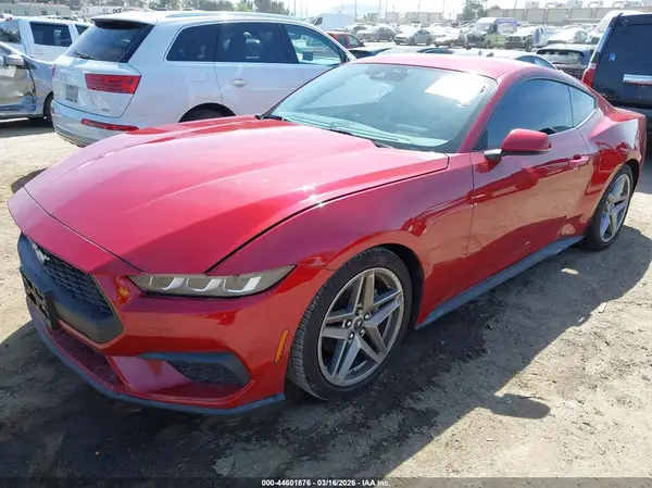 1FA6P8TH7R5118655 2024 FORD MUSTANG - Image 2