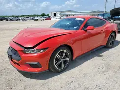 1FA6P8TH7R5118719 2024 FORD MUSTANG