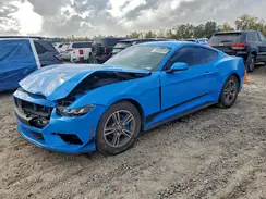 1FA6P8TH7R5119482 2024 FORD MUSTANG