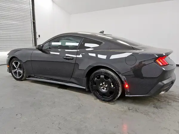 1FA6P8TH7R5121376 2024 FORD MUSTANG - Image 2