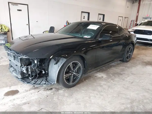 1FA6P8TH7R5124360 2024 FORD MUSTANG - Image 2