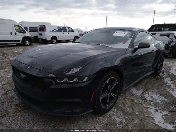 1FA6P8TH7R5124410 2024 FORD MUSTANG - Image 2