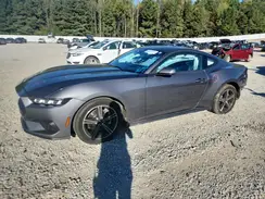 1FA6P8TH7R5125184 2024 FORD MUSTANG