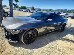 1FA6P8TH7R5129106 2024 FORD MUSTANG