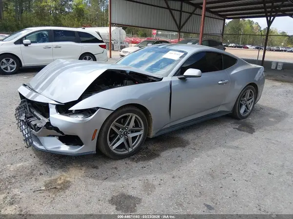 1FA6P8TH7R5131521 2024 FORD MUSTANG - Image 2