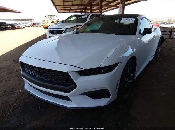 1FA6P8TH7R5131793 2024 FORD MUSTANG - Image 2
