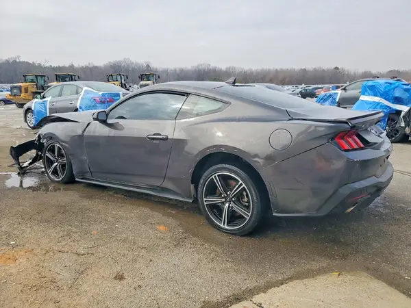 1FA6P8TH7R5132667 2024 FORD MUSTANG - Image 2